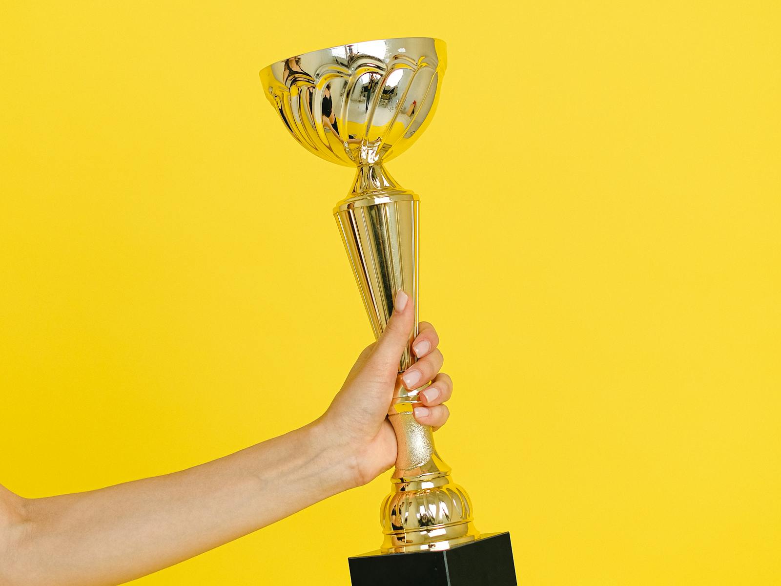 Bee Ridge trophy work